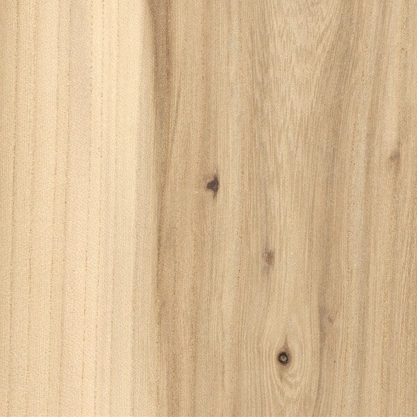 Elm Wood Sample